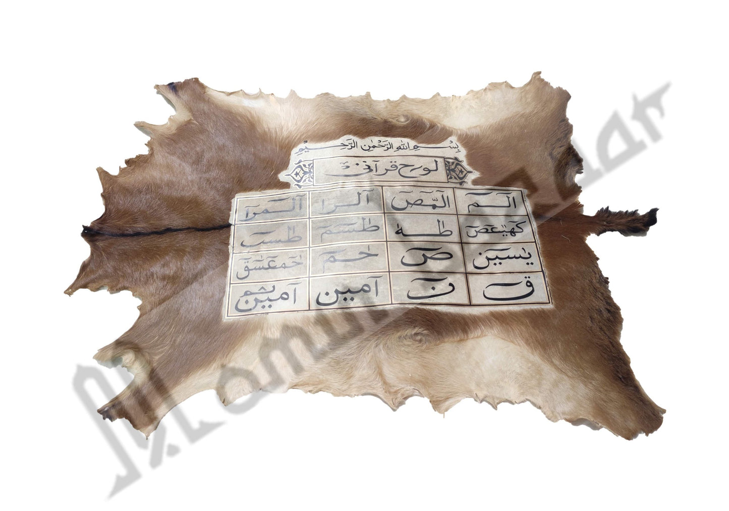 Goat Skin Calligraphy Islamic Huroof Muqataat Islamic Decor Item 38 INCH * 19 INCH