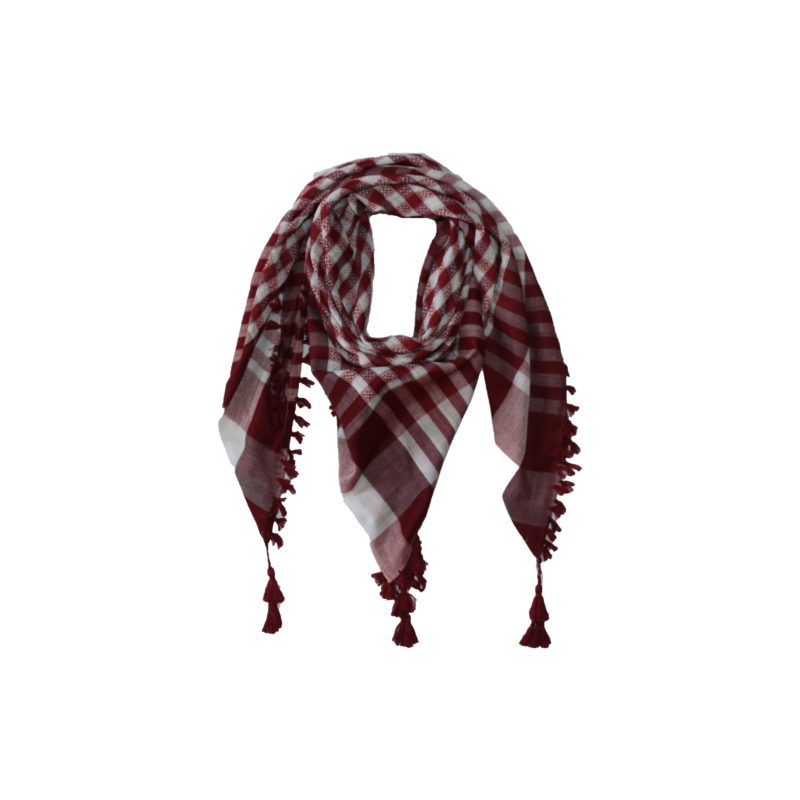 keffiyeh/Arafat scarf