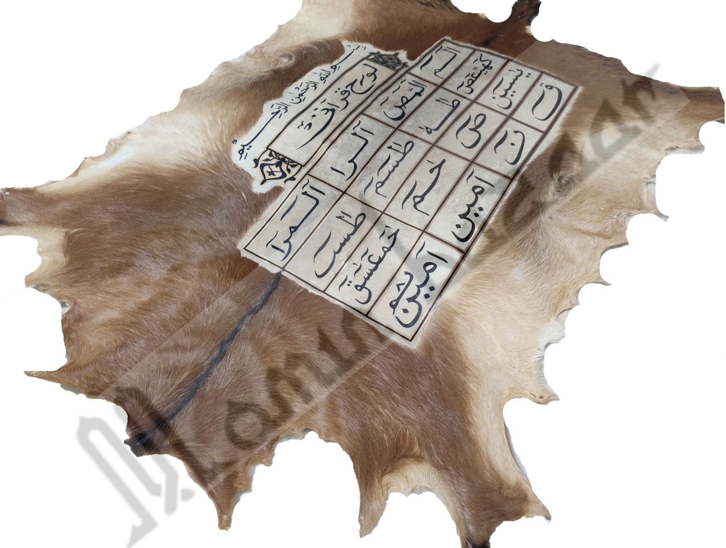 Goat Skin Calligraphy Islamic Huroof Muqataat  Islamic Decor Item 38 INCH * 19 INCH